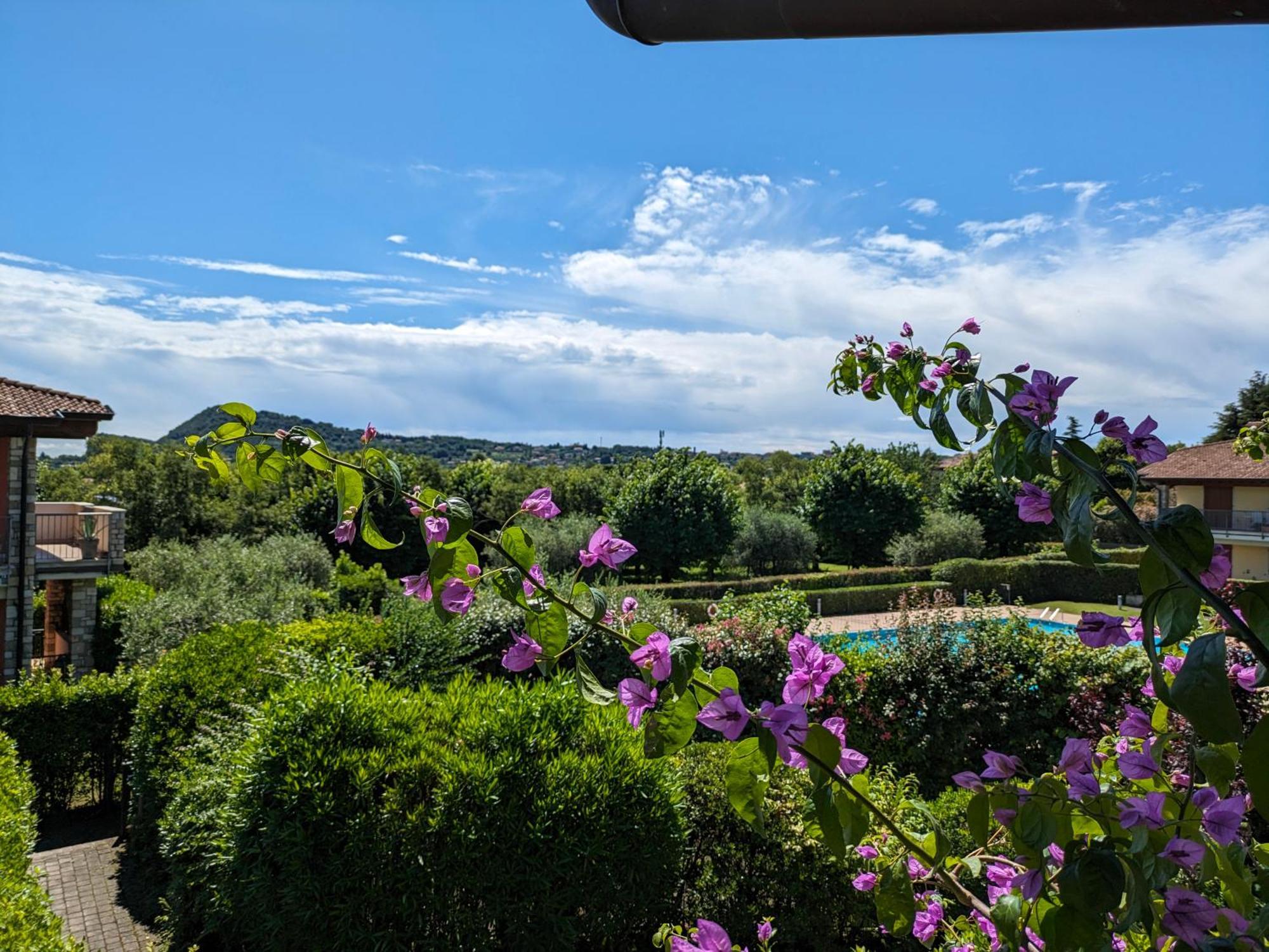 La Fenice Holiday Apartment Manerba del Garda Buitenkant foto